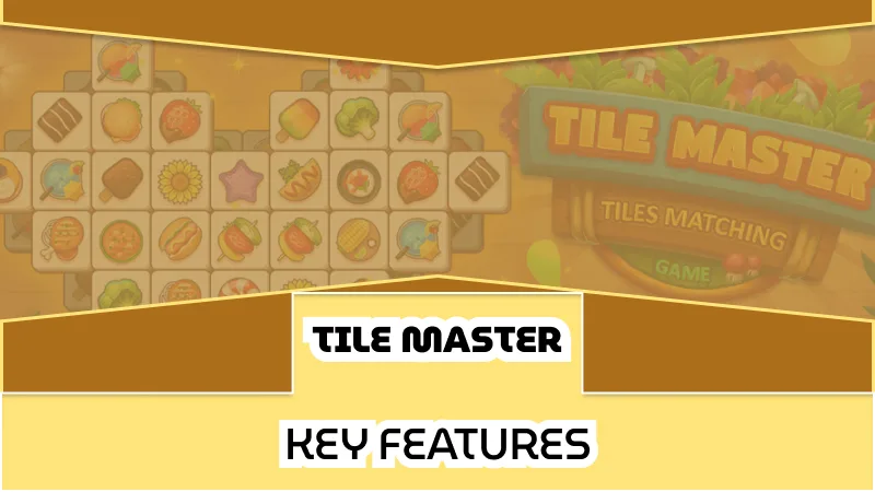 Key Features of Tile Master